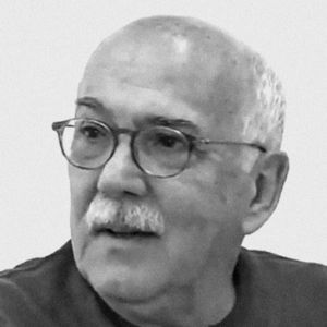 Renato Boschi (INCT/PPED, IESP/UERJ)